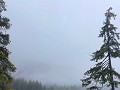 IMG 0339