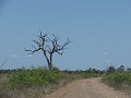 Tegen de grens van Mozambique is het kurkdroog.