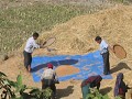Deze mannen wapperen in vlotte bewegingen hun riet