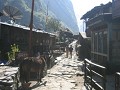 Een typisch nepalees bergdorp... een enkel straatj