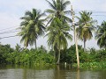 BANGKOK. We varen langs mooie stukken natuur...dan