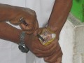BANGKOK. Snake farm. Dit zou Gaia een hart-attack 