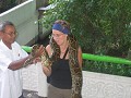 BANGKOK. Snake farm. De python heeft nog nooit iem