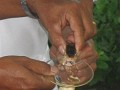 BANGKOK. Snake farm. Elke dag worden de slangen 'g