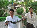 BANGKOK. Snake farm. We bezoeken een slangen-compl