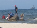 HUA HIN. De Thaien hebben soms ook wreed bizarre g