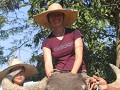 CHIANG MAI. En ja, een ritje op die kolossale bees