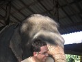 Een innige knuffel met Ot: hij werpt zijn slurf ro