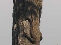 KHAO YAI NATIONAL PARK.  Hoe onze gids het deed bl