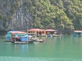 HALONG BAY. Ook de drijvende vissersdorpen (die vo