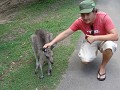 DSC01377