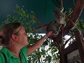 DSC01383