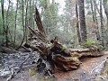 DSC01505