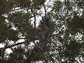 dsc01186