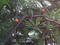 dsc01189