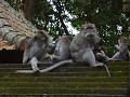 DSC00917
