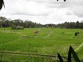 DSC00990