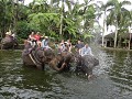 DSC00973