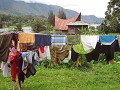 DSC00656
