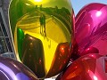 Wat is kunst? Een blik in een tulp, dat is kunst.