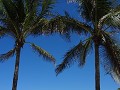 DSC02014