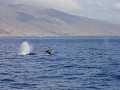 DSC01804