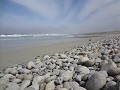 DSC01921