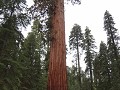 DSC01980