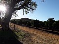 Lemontrees in Citrusdal. 
