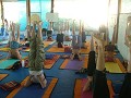 'Sarvangasana' or the 'shoulderstand', one of the 