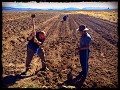 Een handje helpen met de Boliviaanse landbouwers