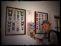 Indrukwekkende collectie vlinders in Biocentre Güe