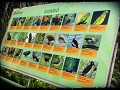 Tropische vogels te spotten in Güembé