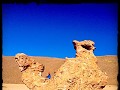 Een verjaardagsritje op een stenen kameel (Italia 