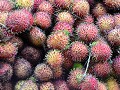 Rambutans (fruit, soort lichees).