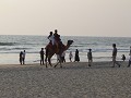 Payyambalam Beach, Kannur (next few pictures)