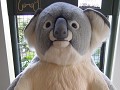 Mama, mag ik deze koala knuffel kopen