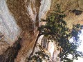 Nourlangie rock, ook bekend voor de Aboriginal rot