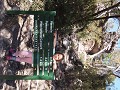 The Grampians NP, we doen hier prachtige wandeling