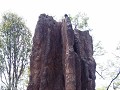 Supergrote termietenheuvel