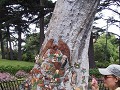 Fitzroy gardens fairy tree 