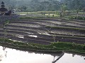Nog meer Rice Terrace 
