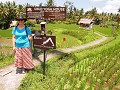 Wandeling door de Ubud rijstvelden 