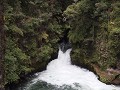 Tutea's Falls 