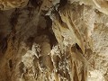 Ruakuri cave