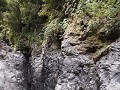Tree Trunk Gorge