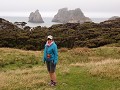 Wharariki Beach from above