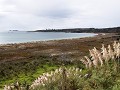 Karikari beach