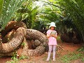 Peradeniya botanical garden 