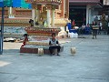 Een jong straatverkopertje die het Laotiaanse leve